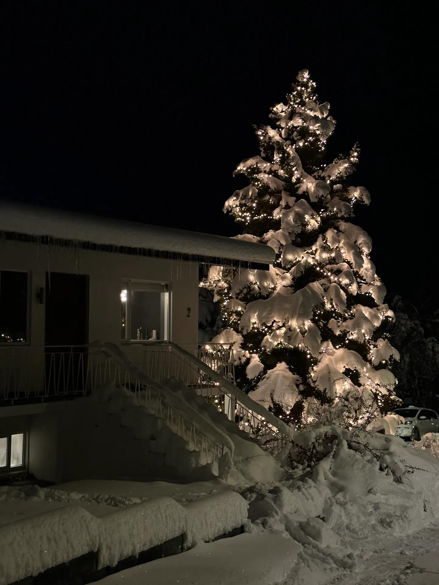 Slátturróbotar til leigu