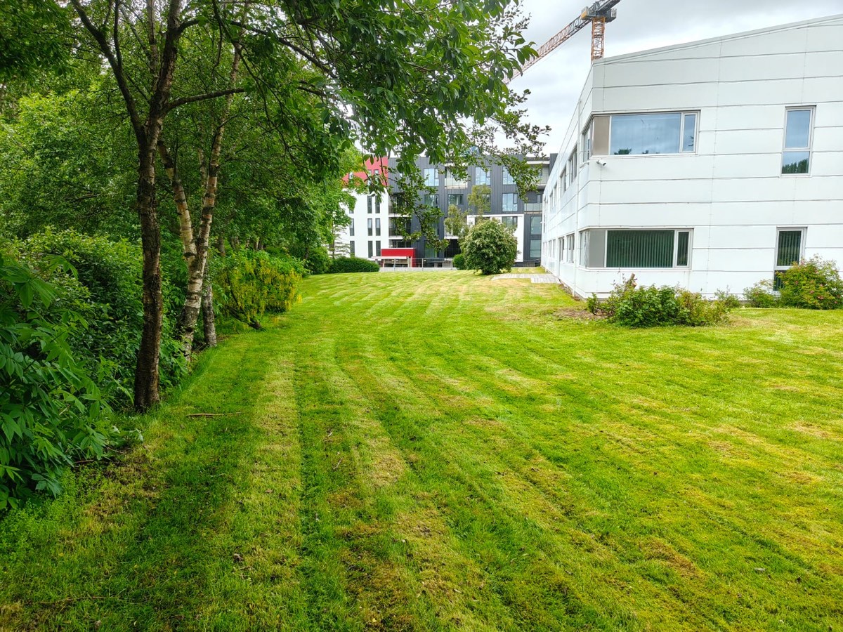 Garðsláttur
